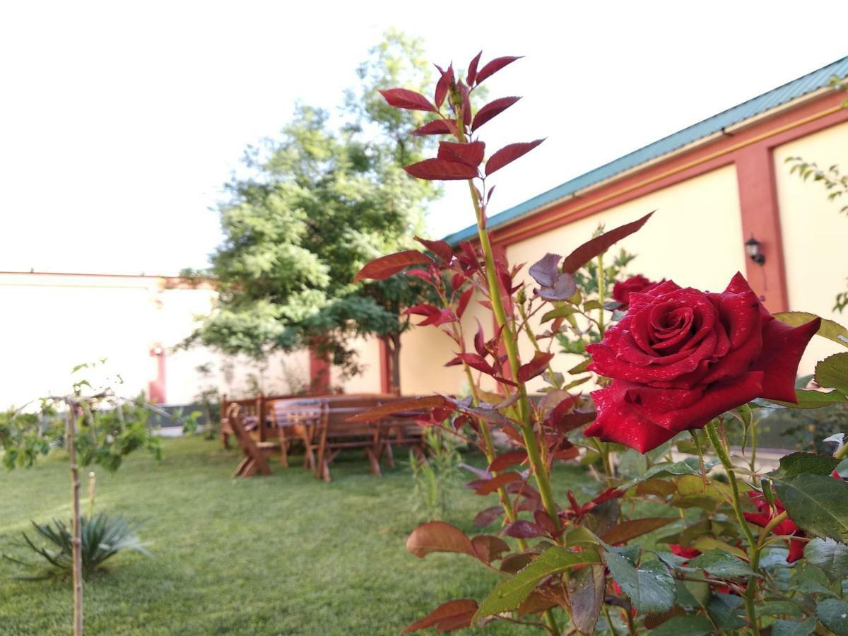Chinor Garden Hotel - Free Airport Pick-Up And Drop-Off Tasjkent Eksteriør bilde